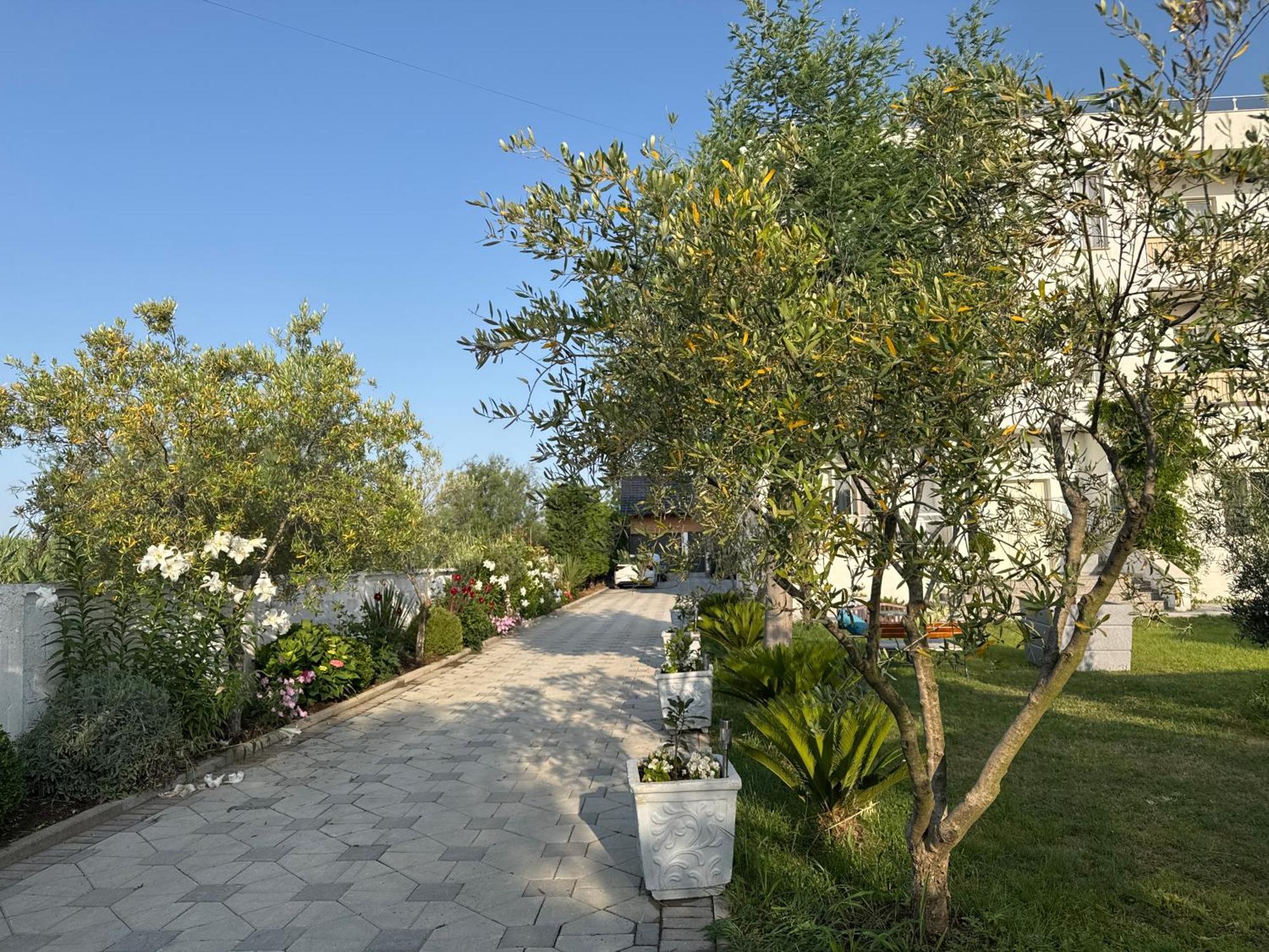 Apartament Kunevain